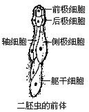 丁香实验推荐阅读