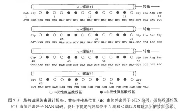 丁香实验推荐阅读