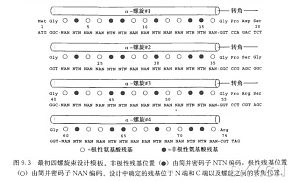 丁香实验推荐阅读