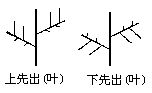 丁香实验推荐阅读