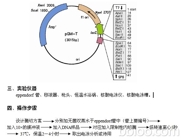 丁香实验推荐阅读