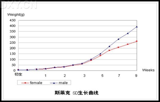 丁香实验推荐阅读