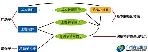 丁香实验推荐阅读