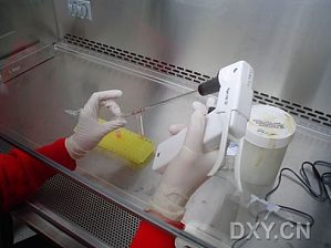 丁香实验推荐阅读