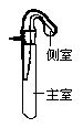 丁香实验推荐阅读