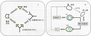 丁香实验推荐阅读