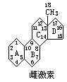 丁香实验推荐阅读