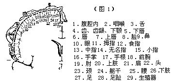 丁香实验推荐阅读