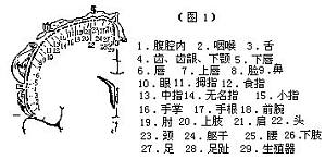 丁香实验推荐阅读