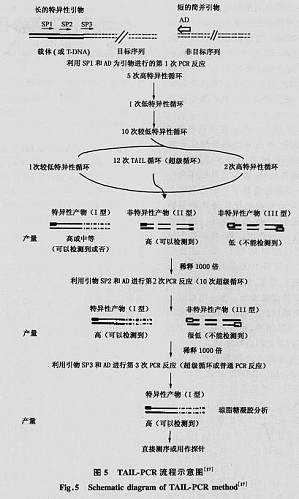 丁香实验推荐阅读
