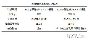 丁香实验推荐阅读