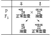 丁香实验推荐阅读