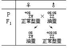 丁香实验推荐阅读