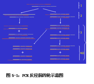 丁香实验推荐阅读