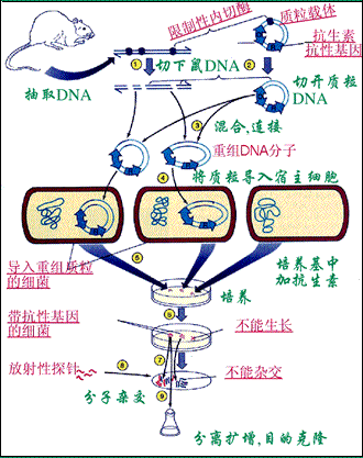 丁香实验推荐阅读