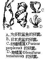 丁香实验推荐阅读