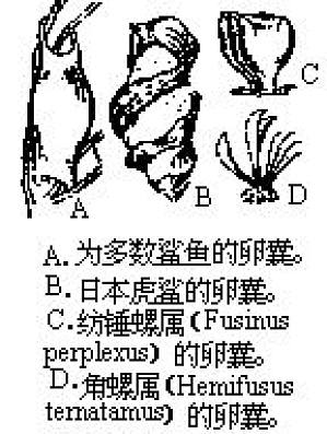 丁香实验推荐阅读