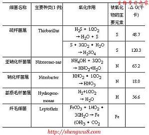 丁香实验推荐阅读