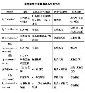 丁香实验推荐阅读