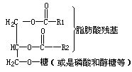 丁香实验推荐阅读