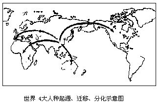 丁香实验推荐阅读