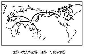 丁香实验推荐阅读