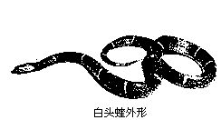 丁香实验推荐阅读