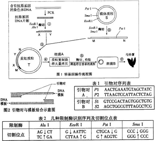 丁香实验推荐阅读