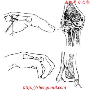 丁香实验推荐阅读
