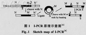 丁香实验推荐阅读