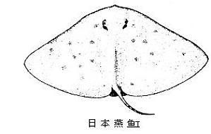 丁香实验推荐阅读