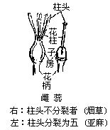 丁香实验推荐阅读