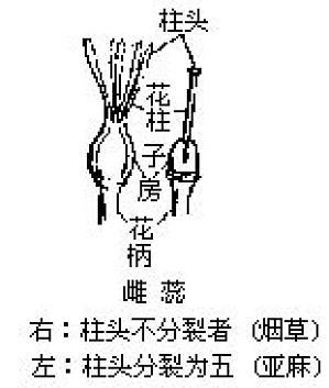 丁香实验推荐阅读