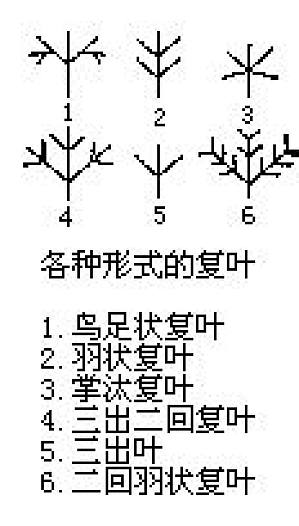 丁香实验推荐阅读