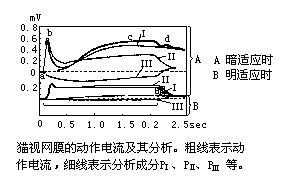 丁香实验推荐阅读
