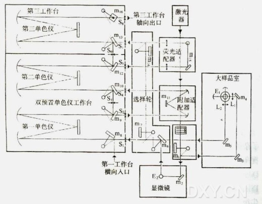 丁香实验推荐阅读