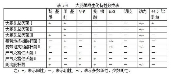 丁香实验推荐阅读