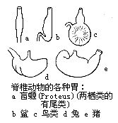 丁香实验推荐阅读