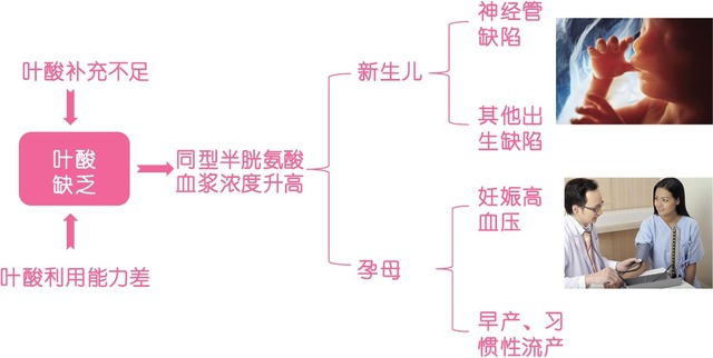 丁香实验推荐阅读