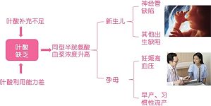 丁香实验推荐阅读