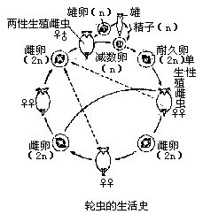 丁香实验推荐阅读