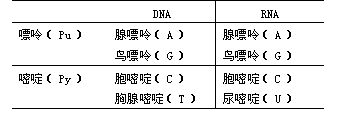 丁香实验推荐阅读