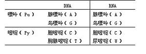 丁香实验推荐阅读