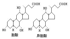 丁香实验推荐阅读