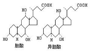丁香实验推荐阅读