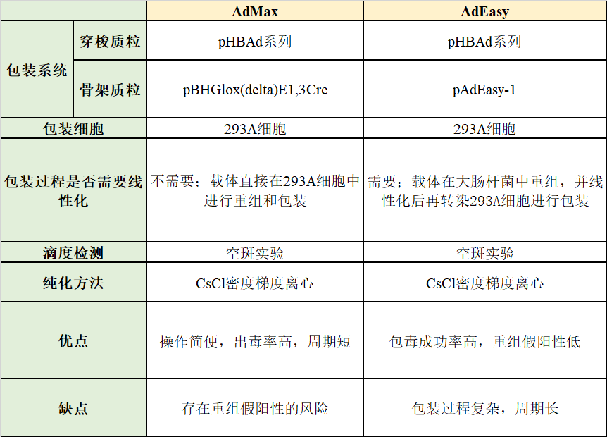 丁香实验推荐阅读