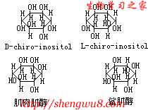 丁香实验推荐阅读