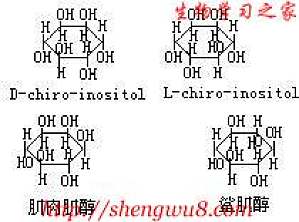 丁香实验推荐阅读