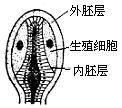 丁香实验推荐阅读