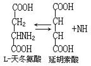 丁香实验推荐阅读